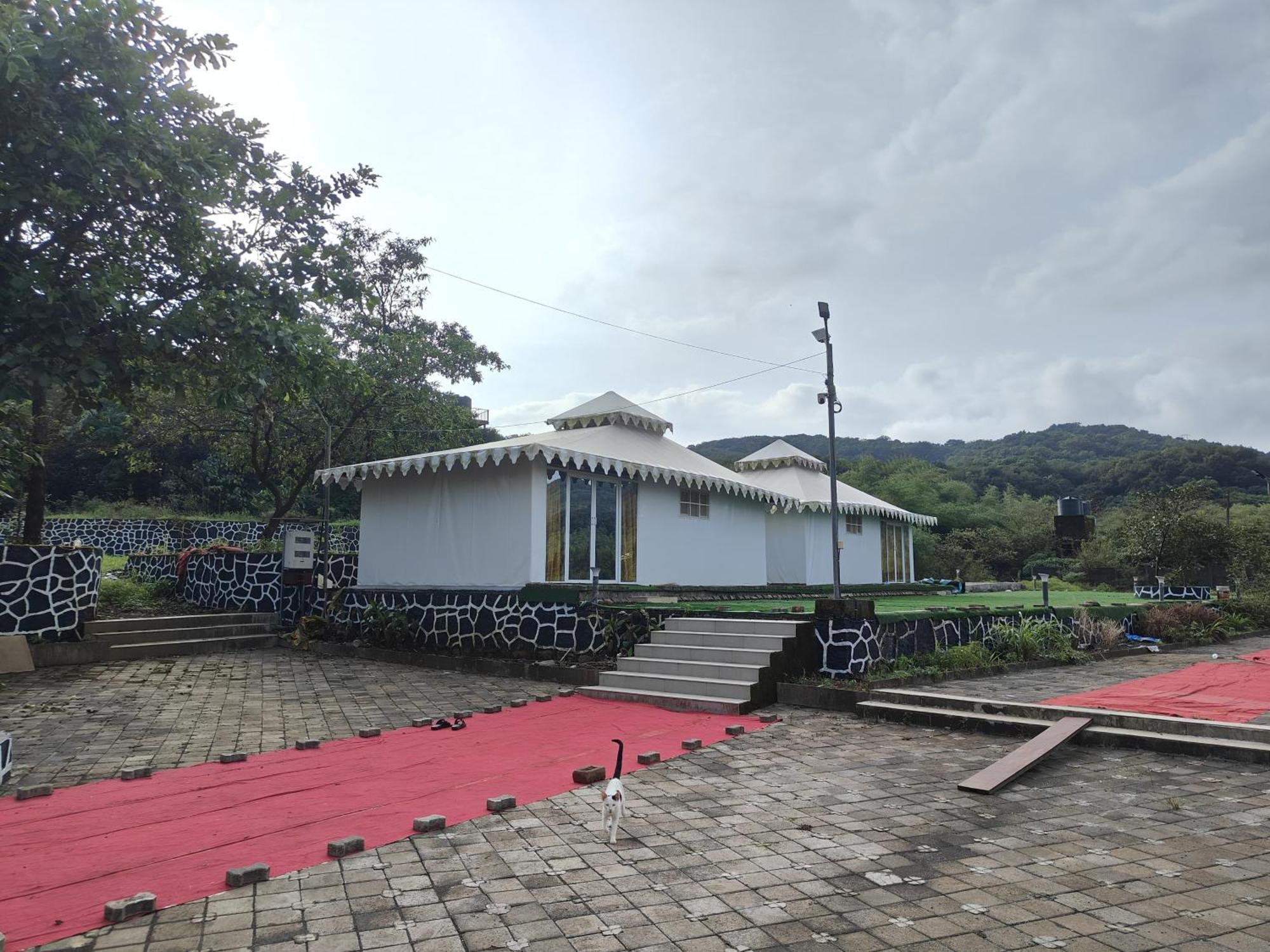 The Purple County Luxury tent *