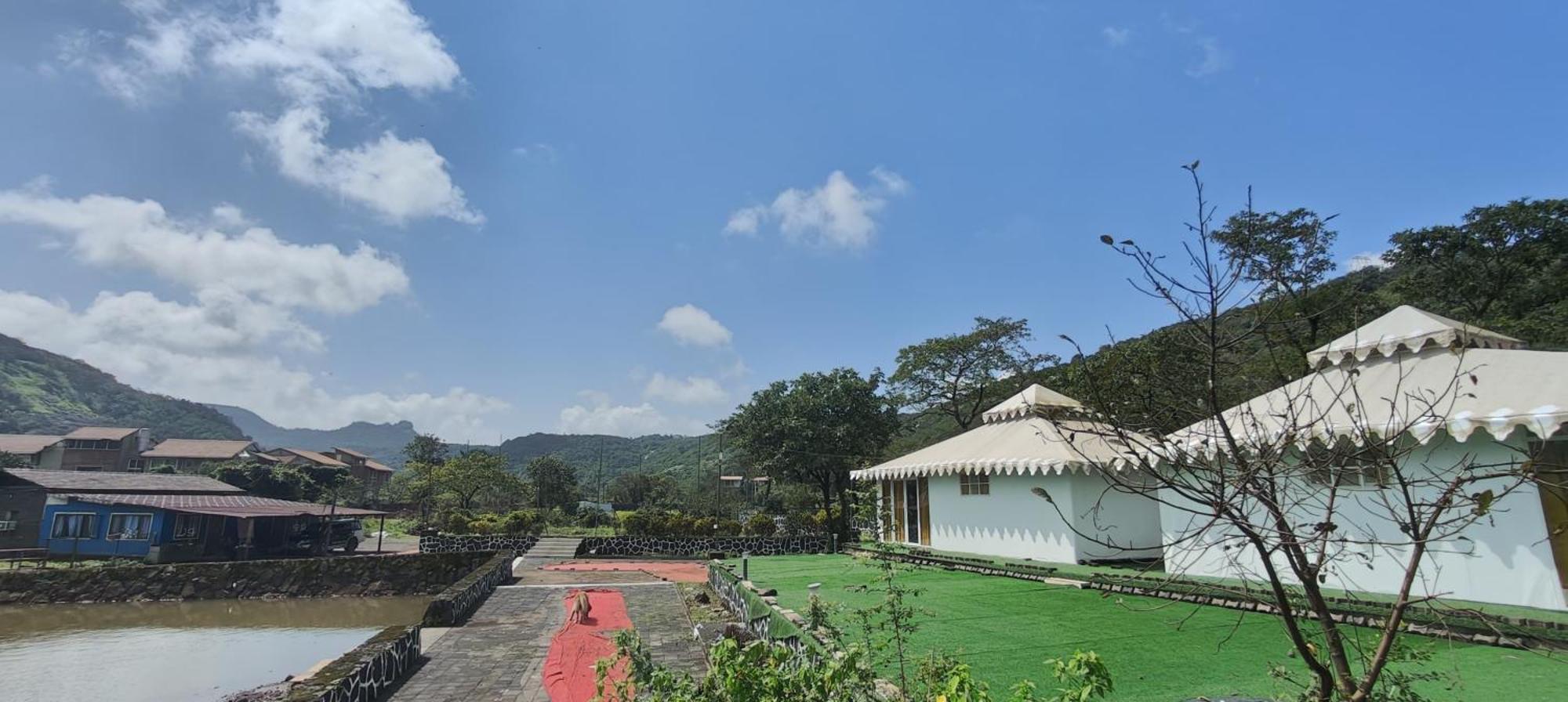The Purple County Luxury tent *
