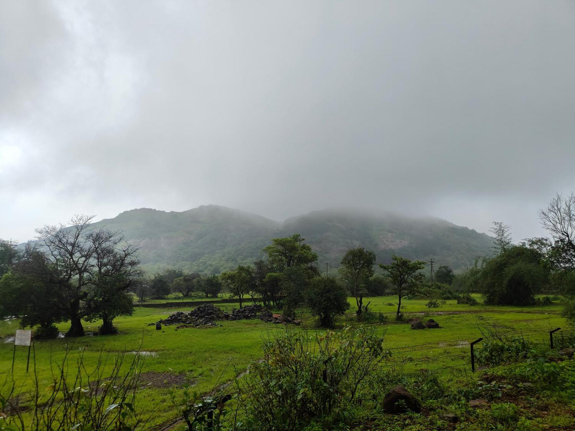 The Purple County * Lonavala